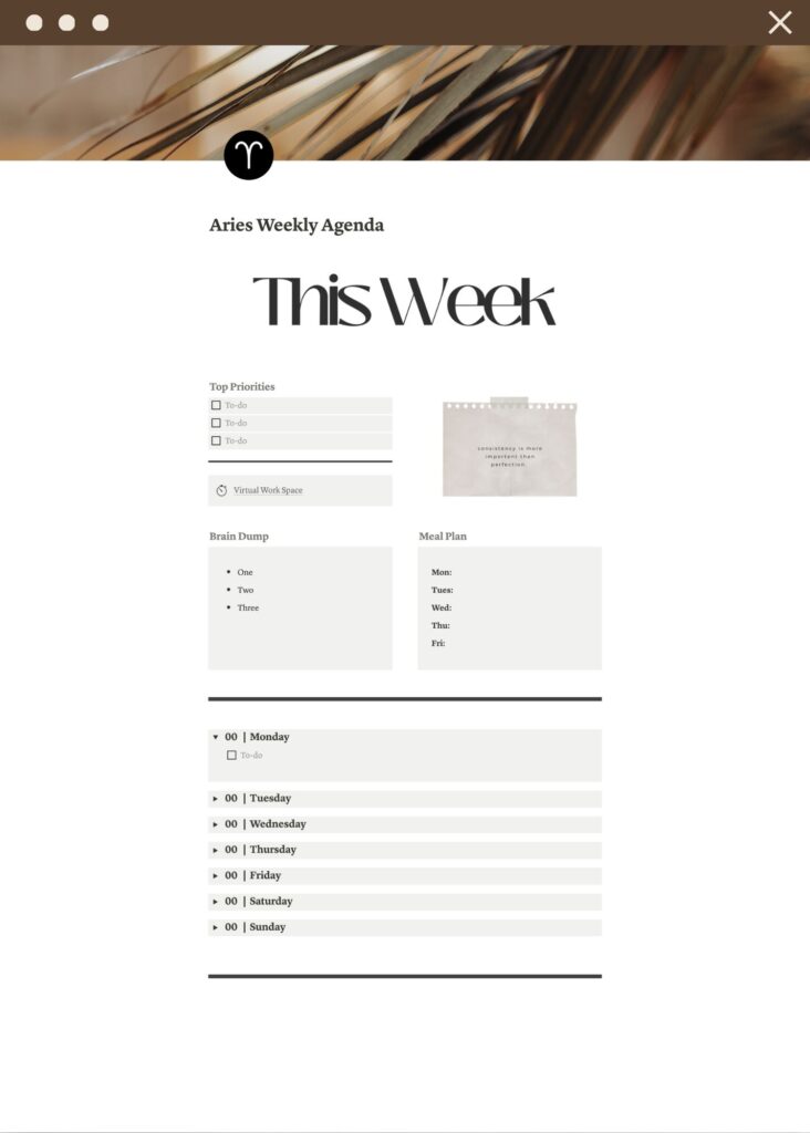 screenshot of a minimalist weekly agenda template for notion that features dropdown agenda for each day and task boxes